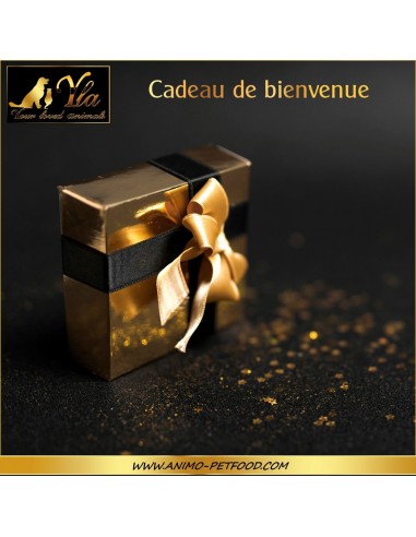 cadeau-chien-chat