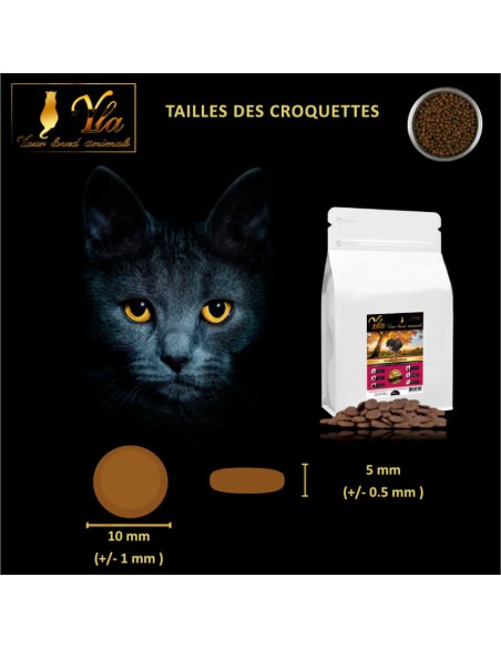 croquette-pour-chat-allergie-alimentaire