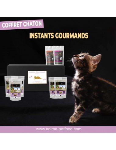 coffret cadeau pour chaton