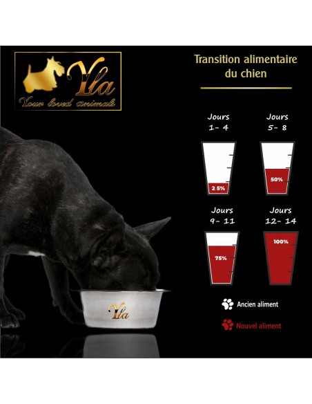 transition alimentaire chien