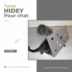 Tunnel HiDEY pour chat