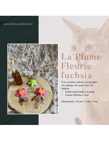 plume-fleurie-fuchsia-a-l-herbe-a-chat
