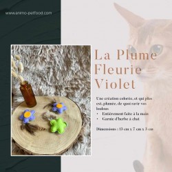 plume-fleurie-violet-a-l-herbe-a-chat