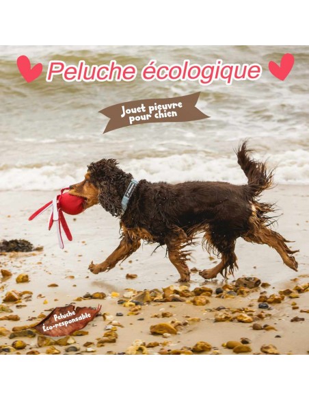 peluche-ecologique-pour-chien-en-plastique-recycle