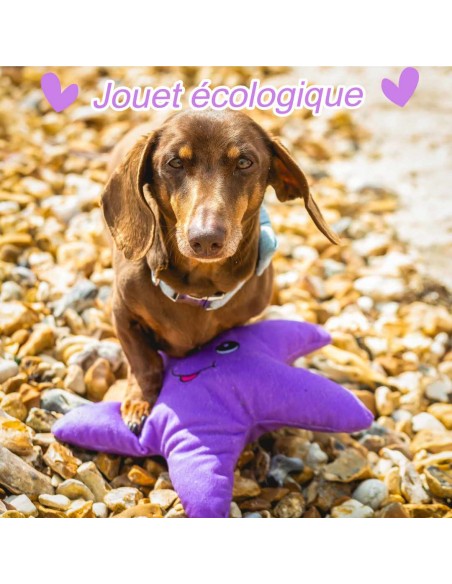 jouet-eco-responsable-pour-chien-en-plastique-recycle