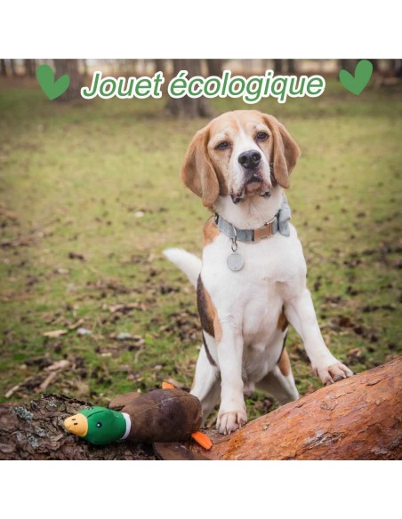 jouet-canard-eco-responsable-pour-chien-en-plastique-recycle