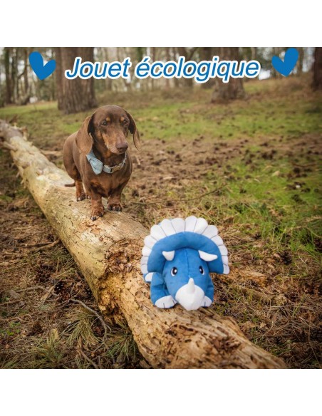 jouet-pour-chien-eco-responsable-en-plastique-recycle