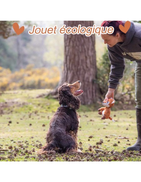 peluche-pour-chien-eco-responsable-en-plastique-recycle