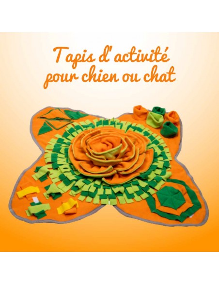 tapis-de-jeu-pour-chien-chat