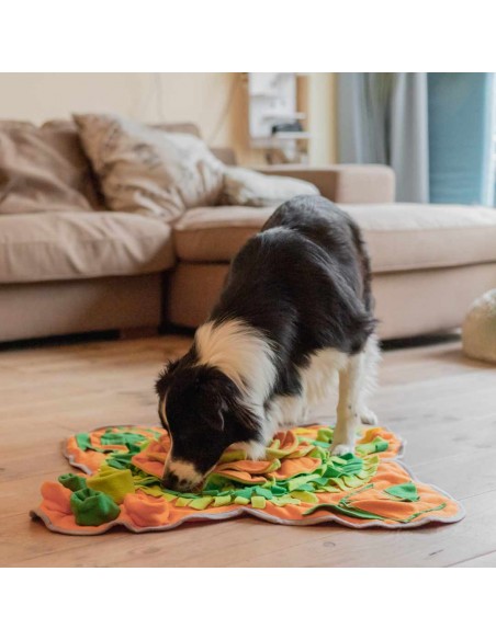 Tapis de canapé Angel pour chats et chiens - Petits Compagnons