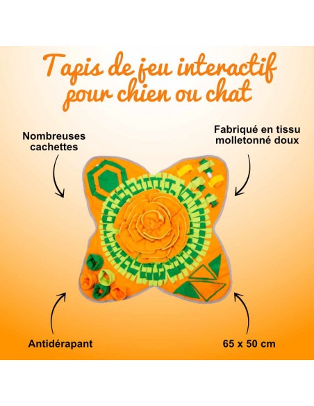 tapis-de-jeu-interactif-pour-chien-ou-cha