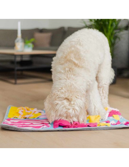 tapis-de-stimulation-olfactif-interactif-pour-chien