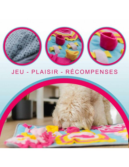 tapis-de-stimulation-olfactif-interactif-pour-chien