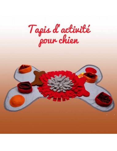 jeu-d-intelligence-et-reflexion-pour-chien-tapis de fouille