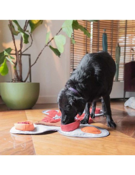 jeu-d-intelligence-et-reflexion-pour-chien-tapis de fouille