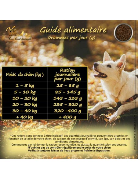 guide-alimentaire-chien