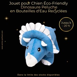jouet-pour-chien-eco-friendly-dinosaure-peluche-en-bouteilles-d-eau-recyclees