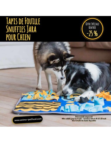 Tapis de fouille pour chien anti-glouton
