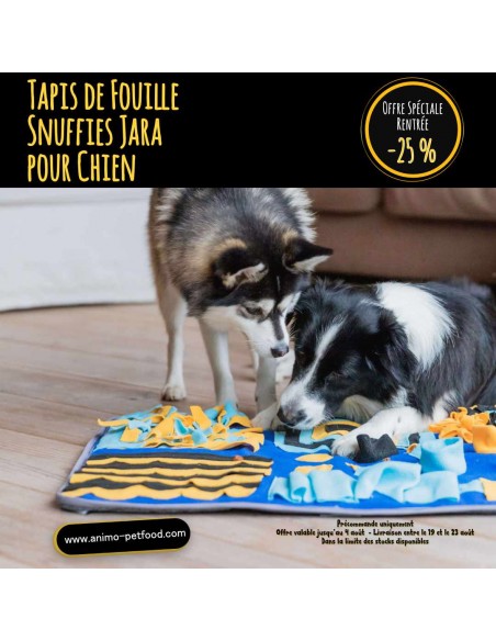Tapis de fouille pour chien anti-glouton