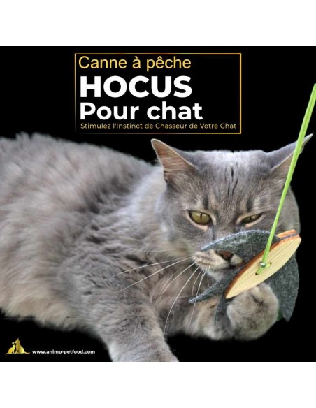 Canne à pêche interactive pour chat avec jouet oiseau, idéale pour stimuler l'instinct de chasse