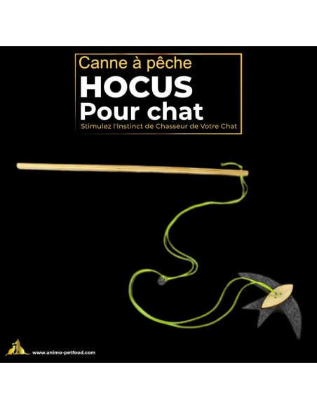 Accessoire de jeu pour chat, canne à pêche avec oiseau, encourageant l'activité physique