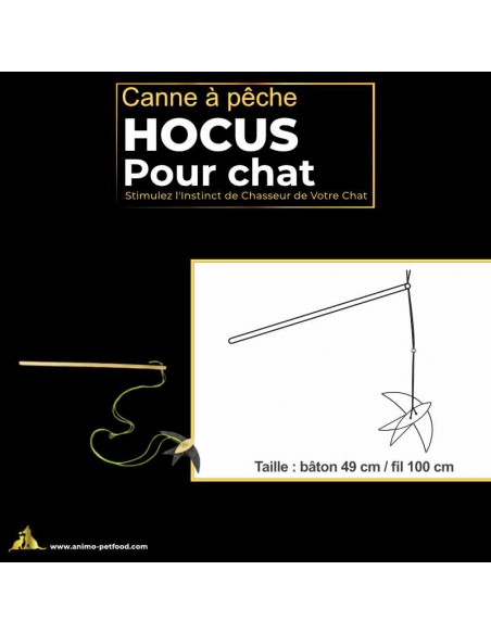 Canne à pêche pour chat à poignée ergonomique avec jouet oiseau, pour un confort optimal