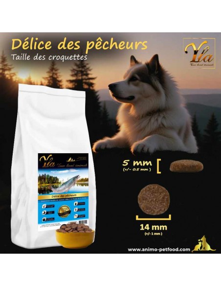 taille croquettes saumon-truite pour bien-être du chien.