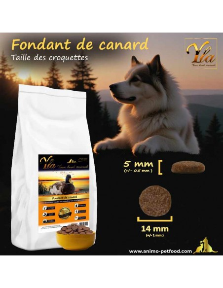 Croquettes Fondant de canard pour chien adulte, taille optimale pour un confort de mastication et une digestion facilitée