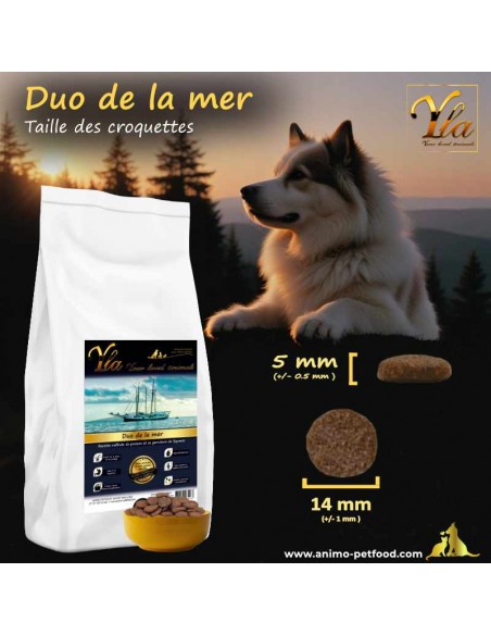 Bien-être du chien avec des croquettes de taille appropriée