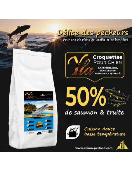Croquettes sans céréales au saumon et truite, pour digestion facile et équilibre nutritionnel