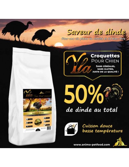 Croquettes pour chien à la dinde, conçues pour une digestion facile et une alimentation équilibrée.