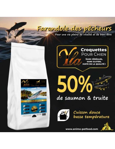 Croquettes hypoallergéniques au saumon et truite pour grande race, idéales pour apaiser les irritations de la peau