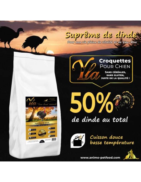 Croquettes hypoallergéniques à la dinde pour grande race, conçues pour une digestion facile et la santé de la peau