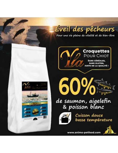 Croquettes sans céréales au saumon, aiglefin et poisson blanc pour chiots, spécialement formulées pour la croissance