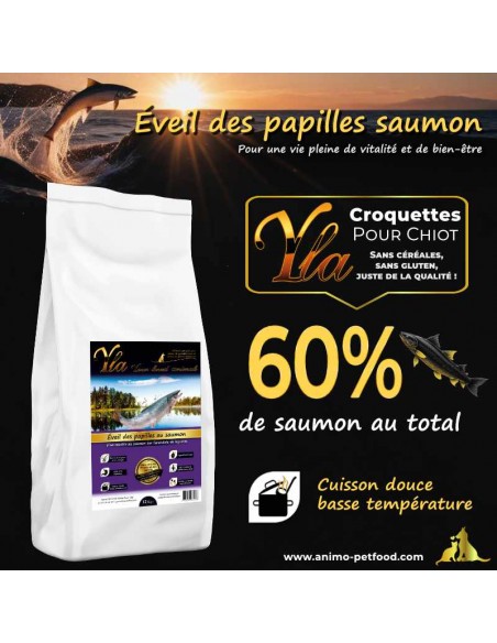 Croquettes hypoallergéniques sans céréales au saumon pour chiots de grande race, pour une digestion délicate et un pelage sain