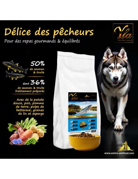 Croquettes sans céréales au saumon et truite, idéales pour les chiens avec problèmes dermatologiques et pelage terne.