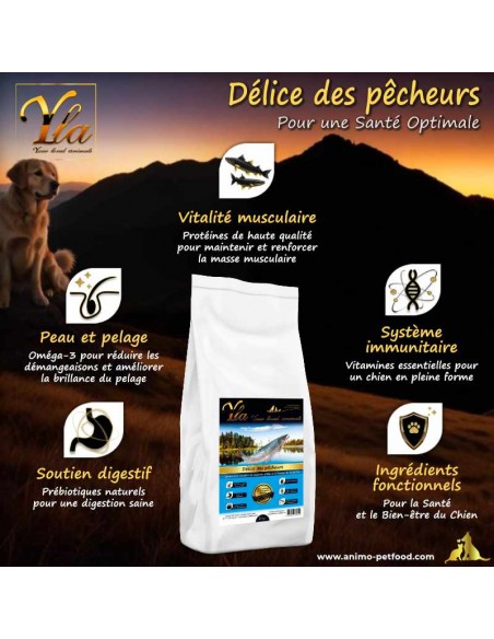 Croquettes riches en oméga-3 pour un pelage brillant et une peau saine chez les chiens.
