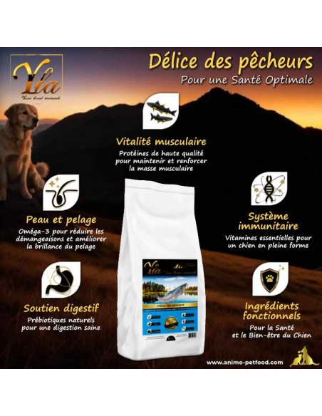 Alimentation équilibrée avec oméga-3 pour un pelage brillant et en bonne santé chez les chiens.