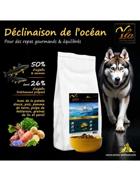 Croquettes hypoallergéniques sans céréales pour chiens ayant des rougeurs ou des allergies cutanées.