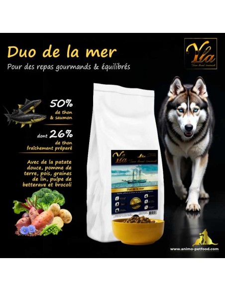 Nourriture hypoallergénique pour chiens souffrant de démangeaisons et de pelage terne.
