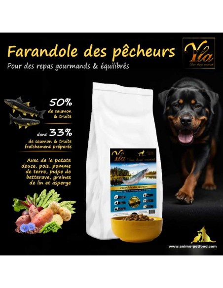 Croquettes hypoallergéniques sans céréales au saumon et à la truite pour chiens de grande race souffrant de peau sensible