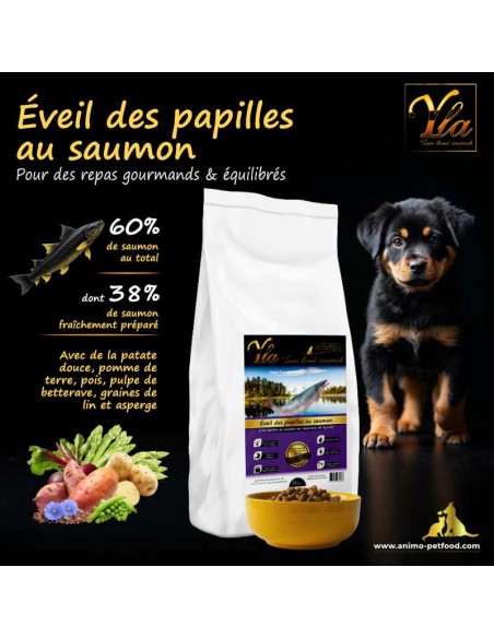 Croquettes hypoallergéniques au saumon pour chiots de grande race, sans céréales ni gluten, idéales pour une digestion facile