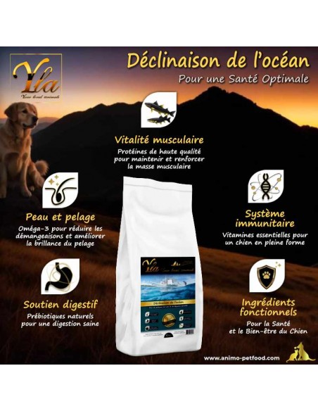 Croquettes sans céréales pour chiens souffrant d’allergies alimentaires et de démangeaisons