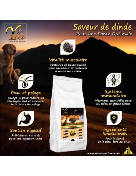 Croquettes hypoallergéniques pour chien formulées pour améliorer la digestion et réduire les allergies alimentaires.
