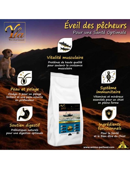 Croquettes premium au poisson pour chiots souffrant de rougeurs cutanées et de sensibilités digestives