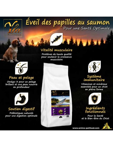 Croquettes au saumon pour chiots de grande race, sans céréales, soutenant la croissance et la santé articulaire