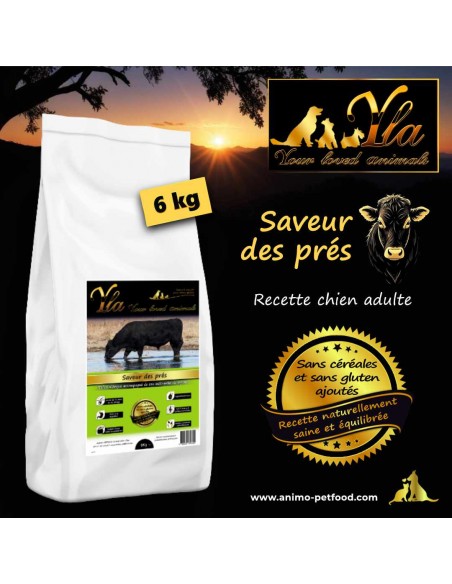 Alimentation canine équilibrée au bœuf Angus, sans céréales ni gluten, recette hypoallergénique
