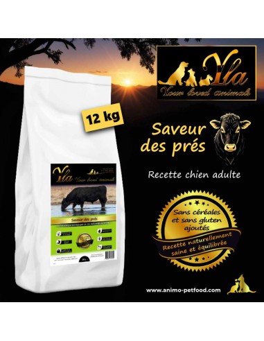 Croquettes hypoallergéniques pour chien, saveur bœuf Angus, sans céréales et sans additifs artificiels