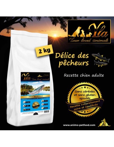 Croquettes hypoallergéniques pour chien au saumon et à la truite, sans céréales et riches en oméga 3