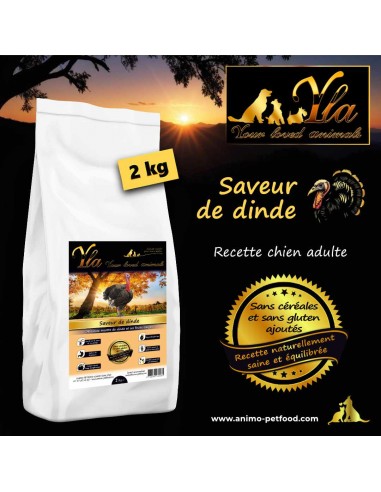 Croquettes hypoallergéniques pour chien à la dinde, sans céréales, adaptées aux allergies alimentaires